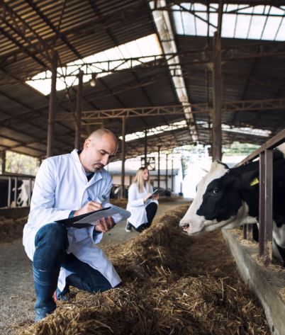 MilkPro Ecuador Colombia